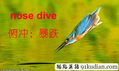 看圖學英文:動物世界的那些事兒