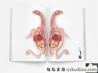 大千世界:創(chuàng)意十足的雜志廣告設(shè)計