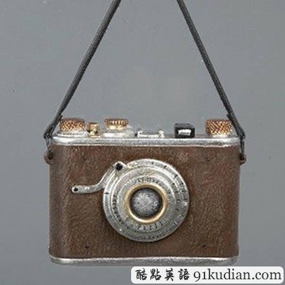 趣圖妙語(yǔ):奇妙的圣誕裝飾