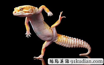 大千世界:2011年奇聞異事回顧