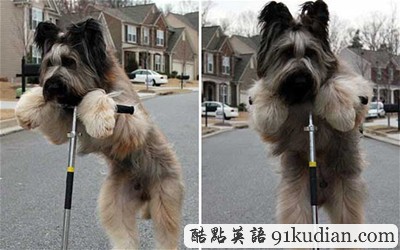 大千世界:2011年奇聞異事回顧