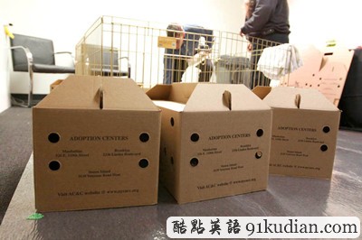 萌物語:貓咪TV show現(xiàn)場實錄