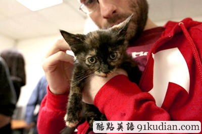 萌物語(yǔ):貓咪TV show現(xiàn)場(chǎng)實(shí)錄