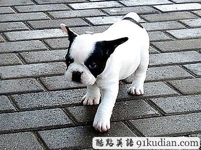 求職者寫在簡(jiǎn)歷上的15件最滑稽的事