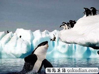 求職者寫在簡歷上的15件最滑稽的事