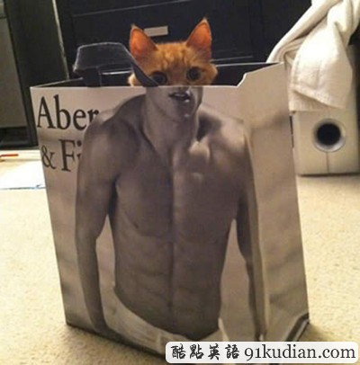 趣圖妙語:我們也懂得何為喜感~