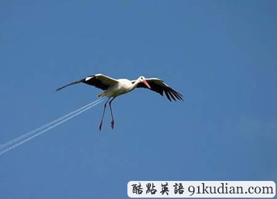 趣圖妙語:我們也懂得何為喜感~