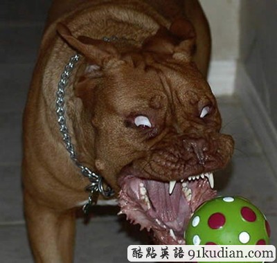 趣圖妙語:我們也懂得何為喜感~