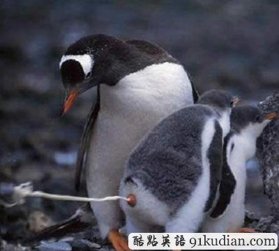 趣圖妙語:我們也懂得何為喜感~