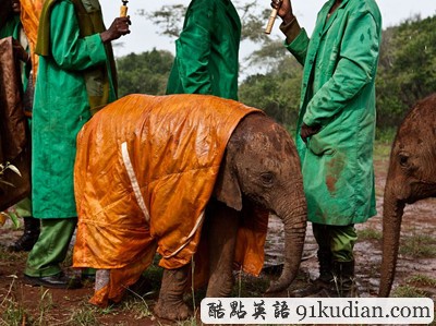 環(huán)球之旅:2012走遍全世界(6)