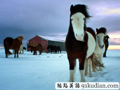 環(huán)球之旅:2012走遍全世界(1)