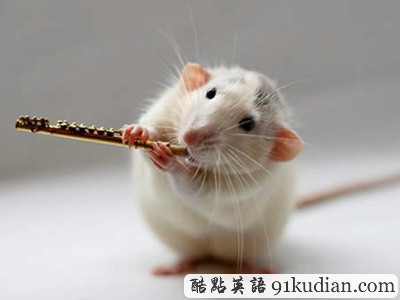 趣圖妙語:動(dòng)物版本看圖說話(上)