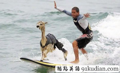 趣圖妙語(yǔ):動(dòng)物版本看圖說(shuō)話(上)