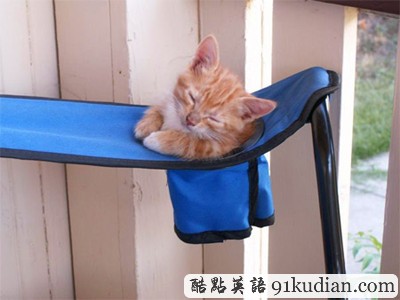 趣圖妙語:動(dòng)物萌物語之我們愛睡覺