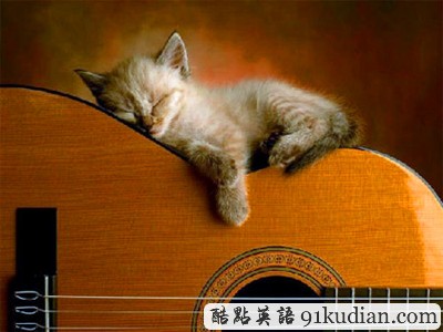 趣圖妙語(yǔ):動(dòng)物萌物語(yǔ)之我們愛睡覺