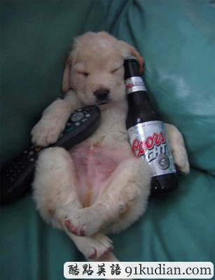 趣圖妙語:動物萌物語之我們愛睡覺