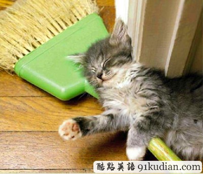 趣圖妙語(yǔ):動(dòng)物萌物語(yǔ)之我們愛(ài)睡覺(jué)