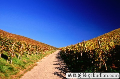 環(huán)球之旅:走進(jìn)萊茵河畔的美麗GJ"德國(guó)"