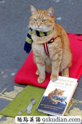 趣圖妙語:街頭藝貓Bob 和主人在一起