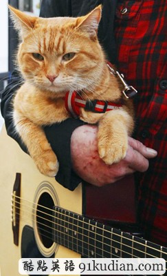 趣圖妙語:街頭藝貓Bob 和主人在一起