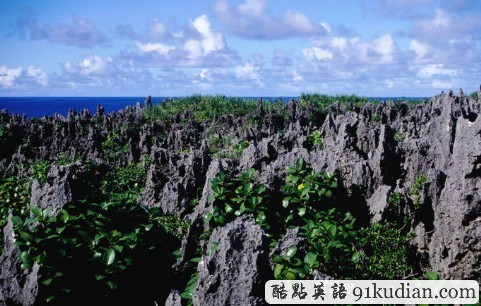 環(huán)球之旅:走進太平洋中南部美麗的珊瑚島"紐埃"