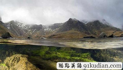 英國2011年野生動(dòng)物攝影比賽獲獎(jiǎng)?wù)掌? height=