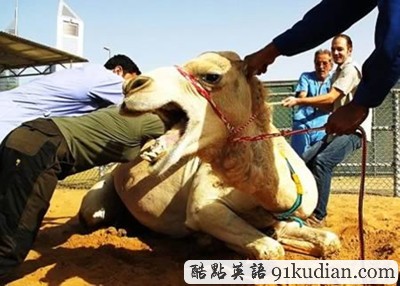 趣圖妙語:都是視覺誤差惹的禍!(1)