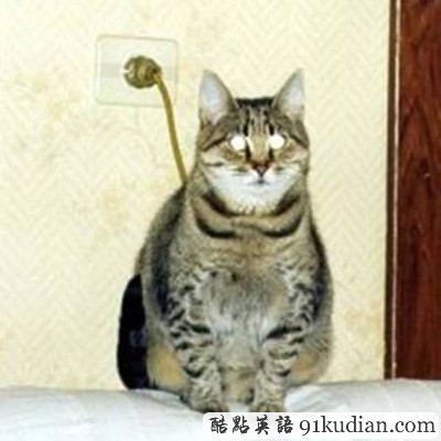 趣圖妙語:都是視覺誤差惹的禍!(1)