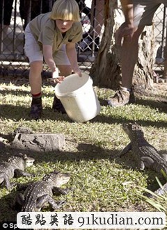 虎父無犬子:8歲男孩繼承父業(yè)飼養(yǎng)鱷魚