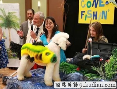 趣圖妙語:時尚大比拼 貓貓狗狗也愛美