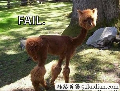 趣圖妙語:時(shí)尚大比拼 貓貓狗狗也愛美