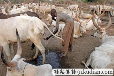 時(shí)代雜志評(píng)選2011