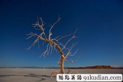 時(shí)代雜志評(píng)選2011