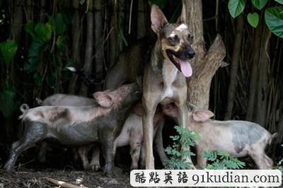 時(shí)代雜志評(píng)選2011