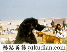 追本溯源記單詞第3期 abet 教唆,慫恿