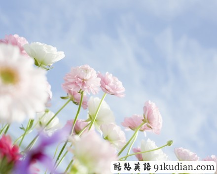 趣味英語起源論第9期:Man and Wife 夫妻