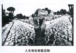 2014年6月英語四級(jí)圖表作文模板:人生的選擇 www.www.jiazhineng.cn