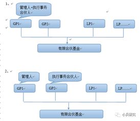 巖利分享 私募基金雙GP模式——是新的潮流還是妙不可言